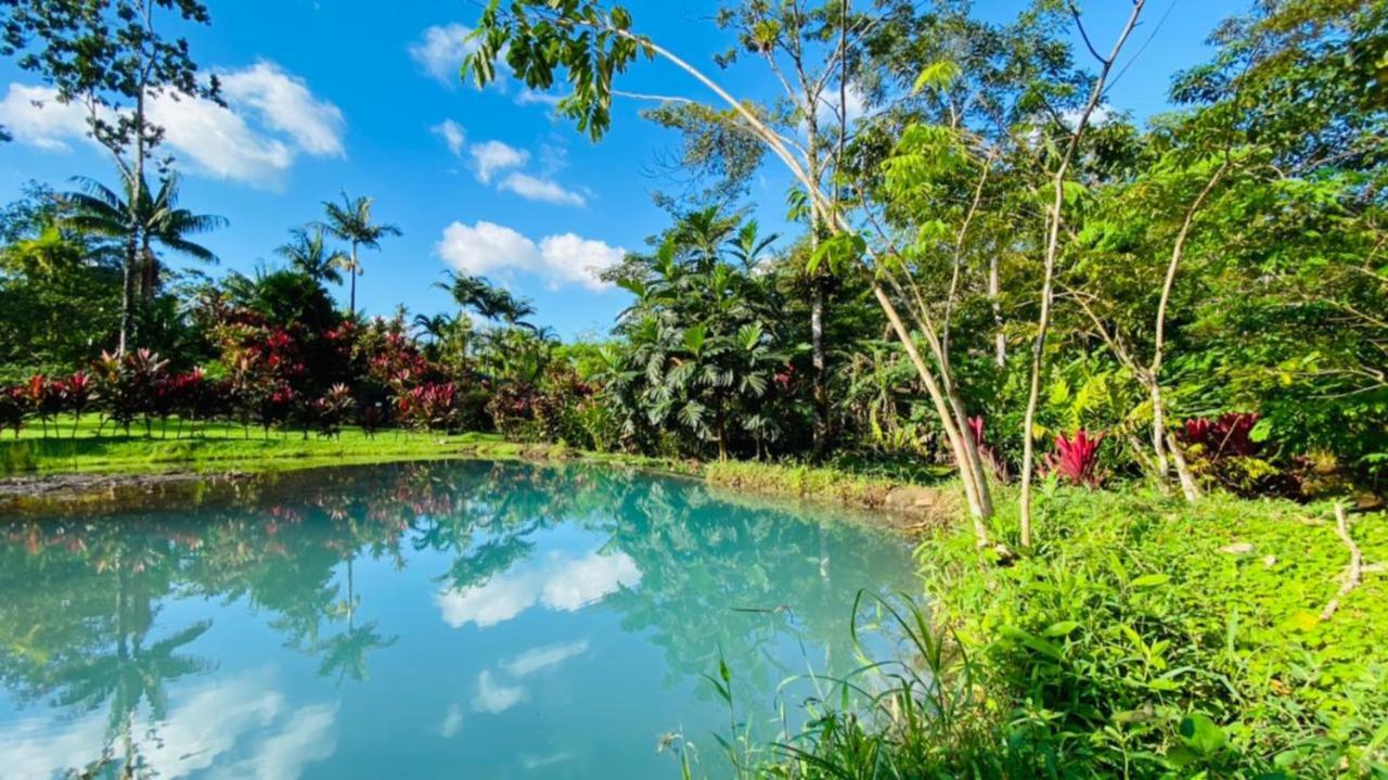 Blue River Resort & Hot Springs Liberia Zewnętrze zdjęcie