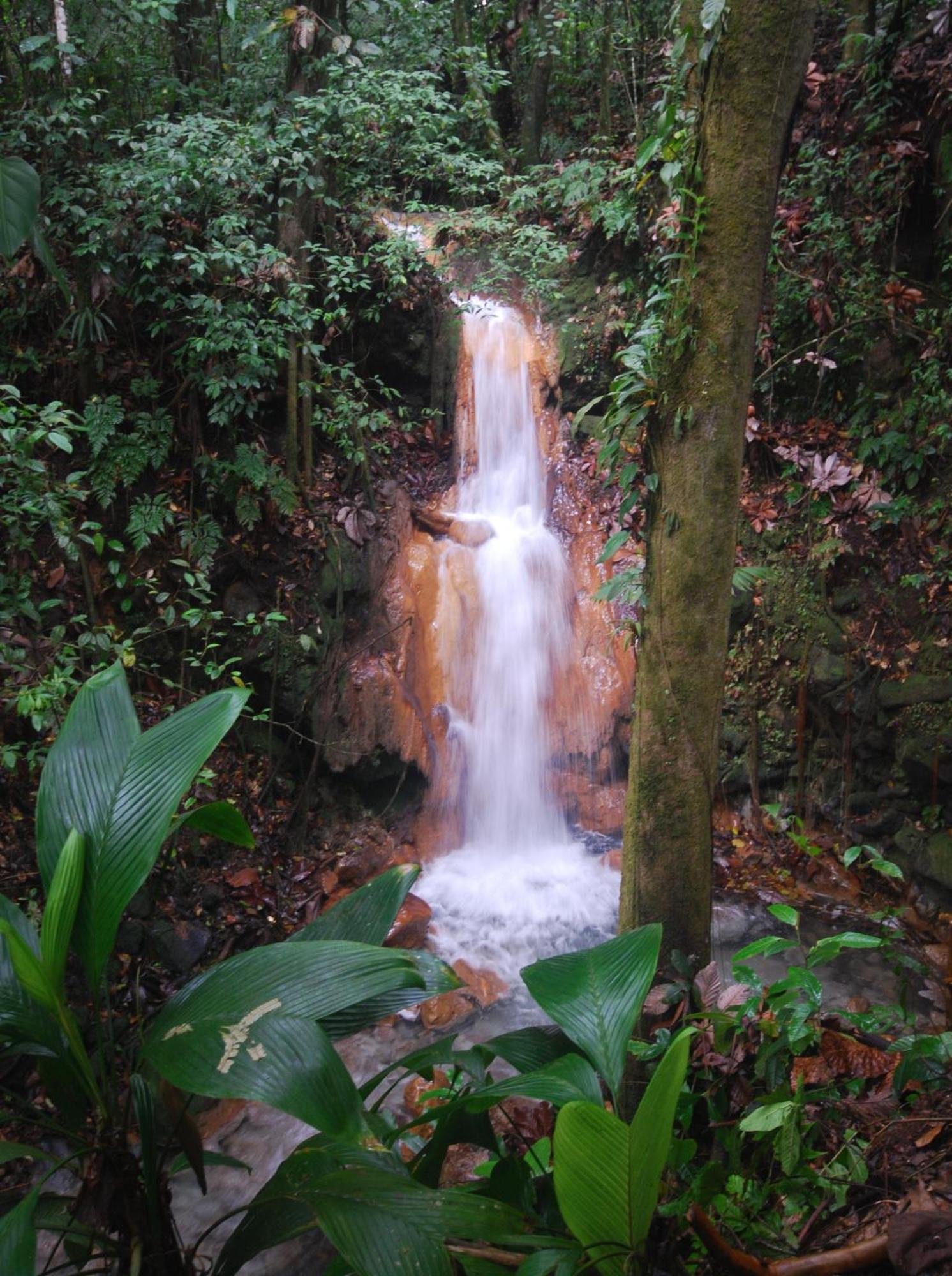 Blue River Resort & Hot Springs Liberia Zewnętrze zdjęcie