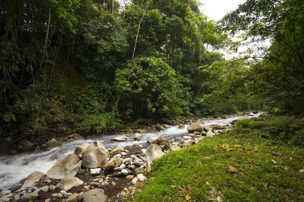 Blue River Resort & Hot Springs Liberia Zewnętrze zdjęcie