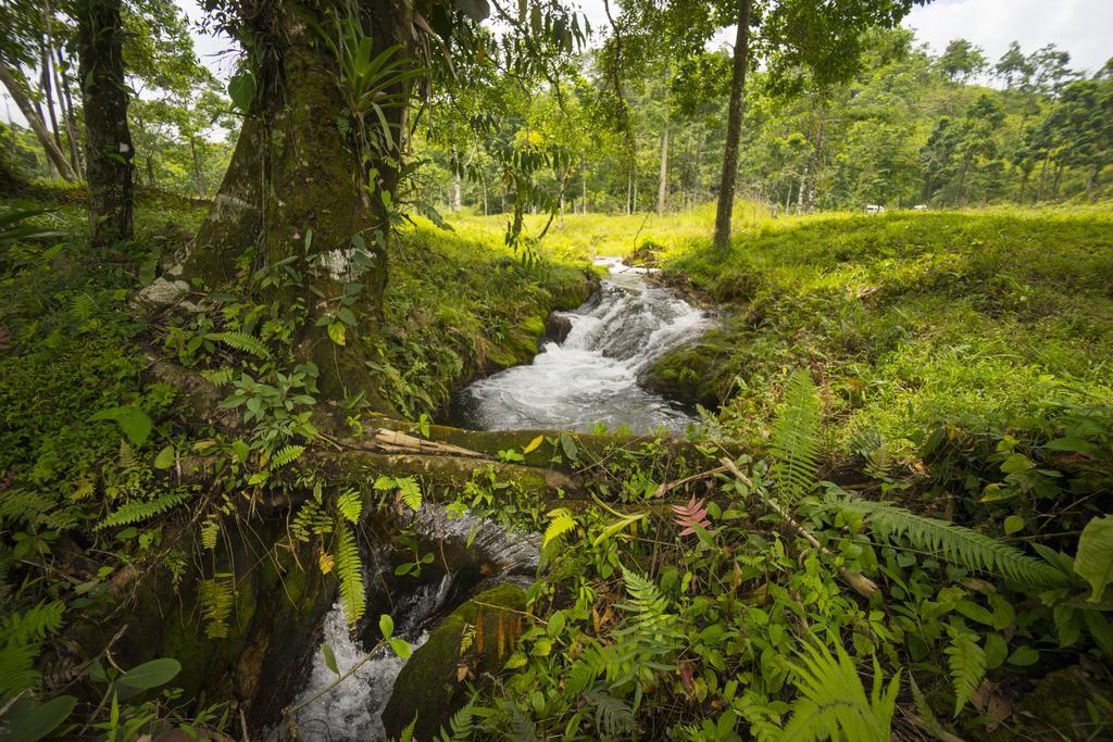 Blue River Resort & Hot Springs Liberia Zewnętrze zdjęcie