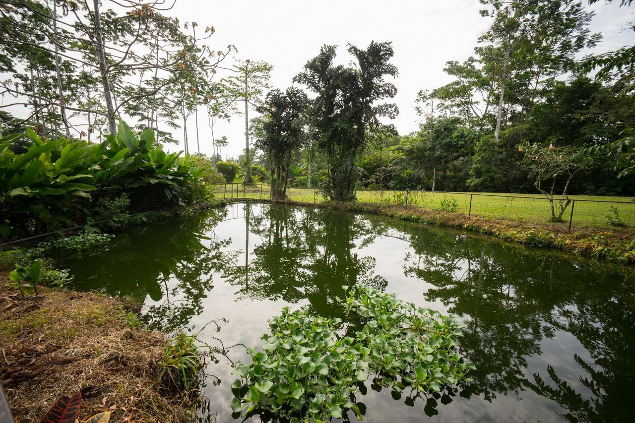 Blue River Resort & Hot Springs Liberia Zewnętrze zdjęcie
